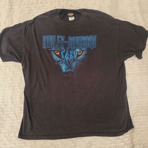 Vintage Men's Harley Davidson Tshirt Apache Junction, Arizona Sz 2XL